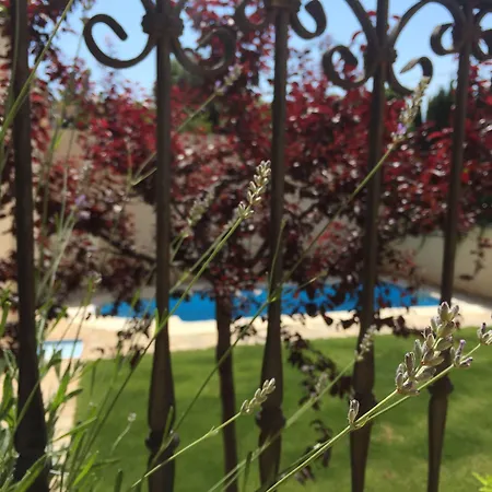 Hotel Castellote 3* Castellote