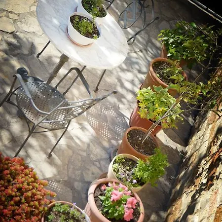 מלון Hotel Castellote Castellote